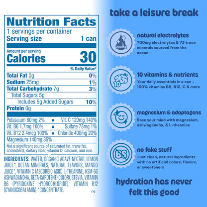 Leisure Hydration - Wild Blueberry